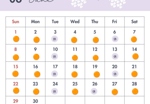 6月の予約受付日