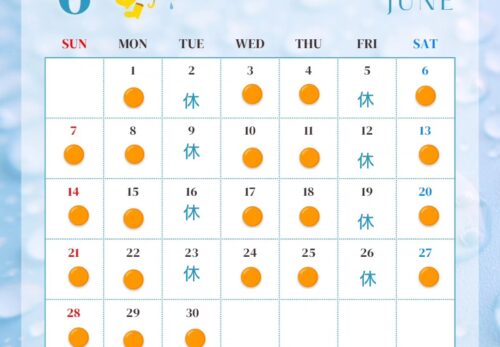 6月の予約受付日